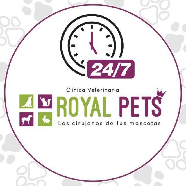 Hospital Veterinario Royal pets