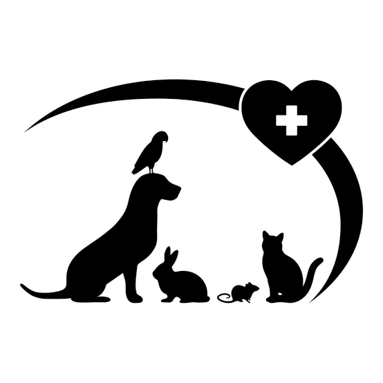Veterinaria San Lazaro