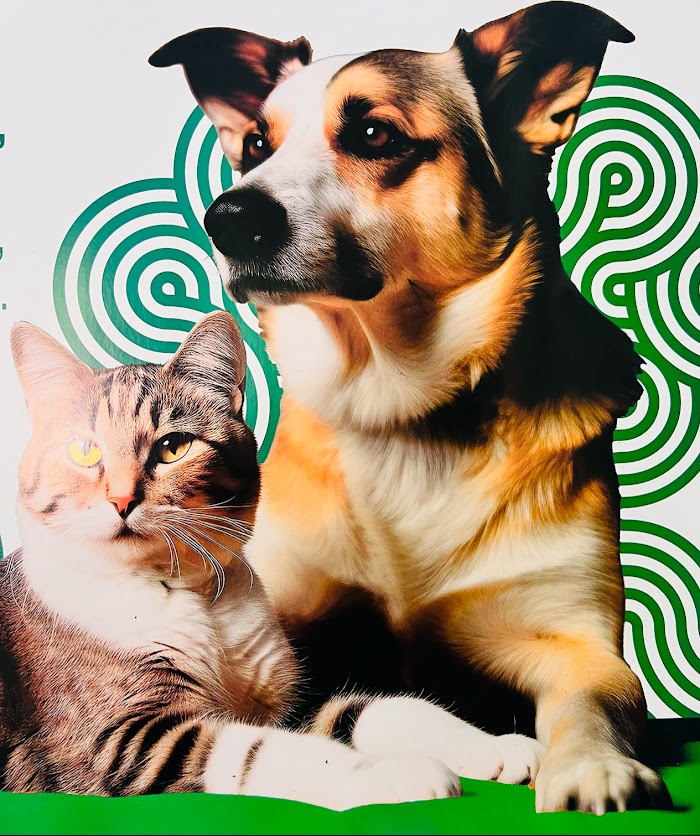 Clinica Veterinaria Mairena las colinas