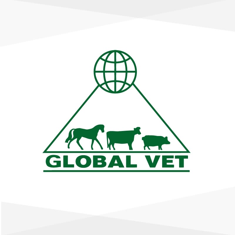 Global Vet Nicaragua