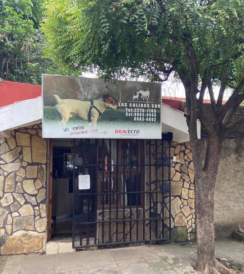 CENTRO DE DIAGNOSTICO VETERINARIO LAS COLINAS SUR