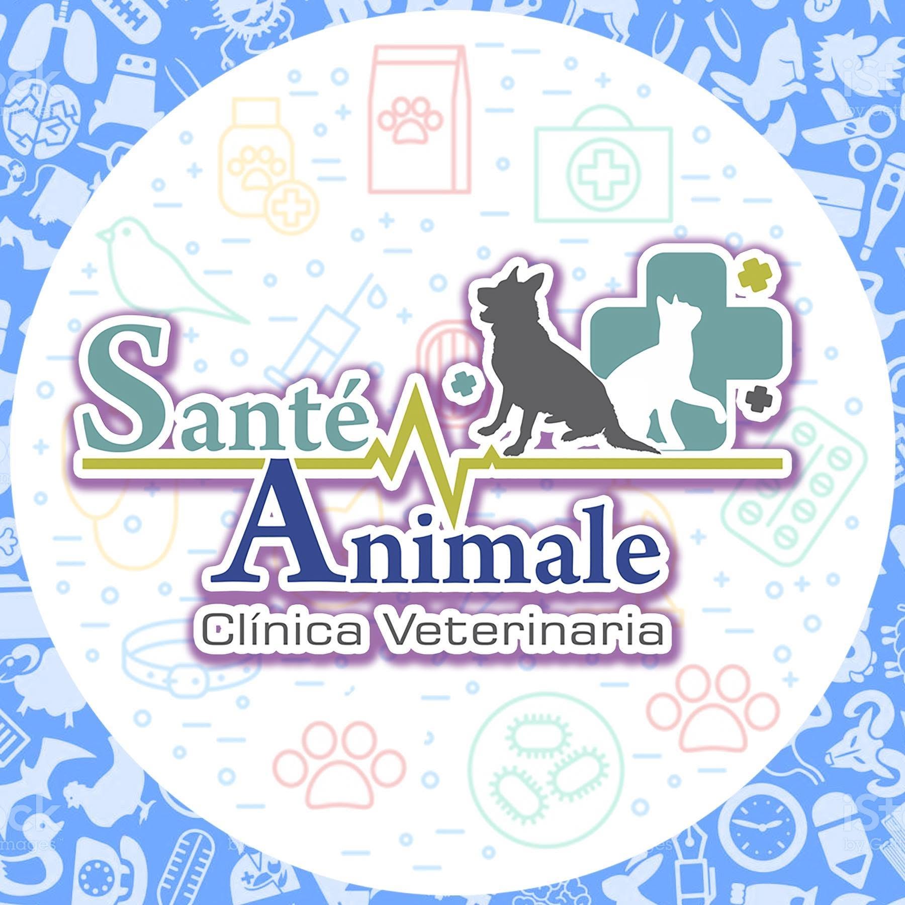 Clinica Veterinaria Santé Animale