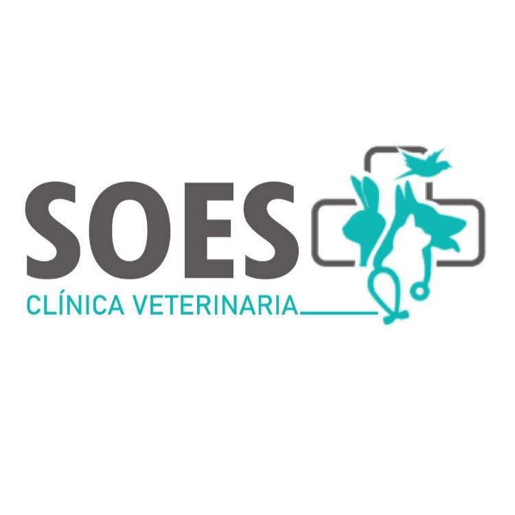Veterinaria SOES