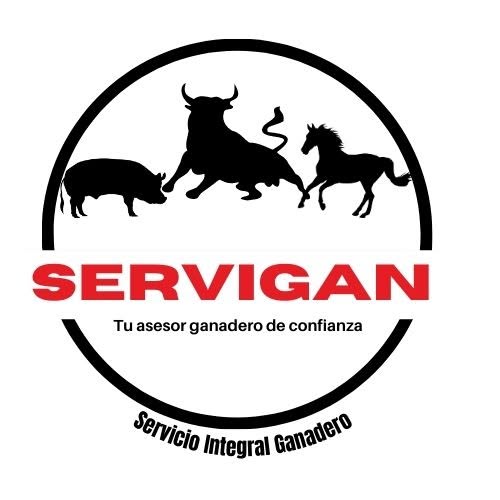 Servigancs Matagalpa