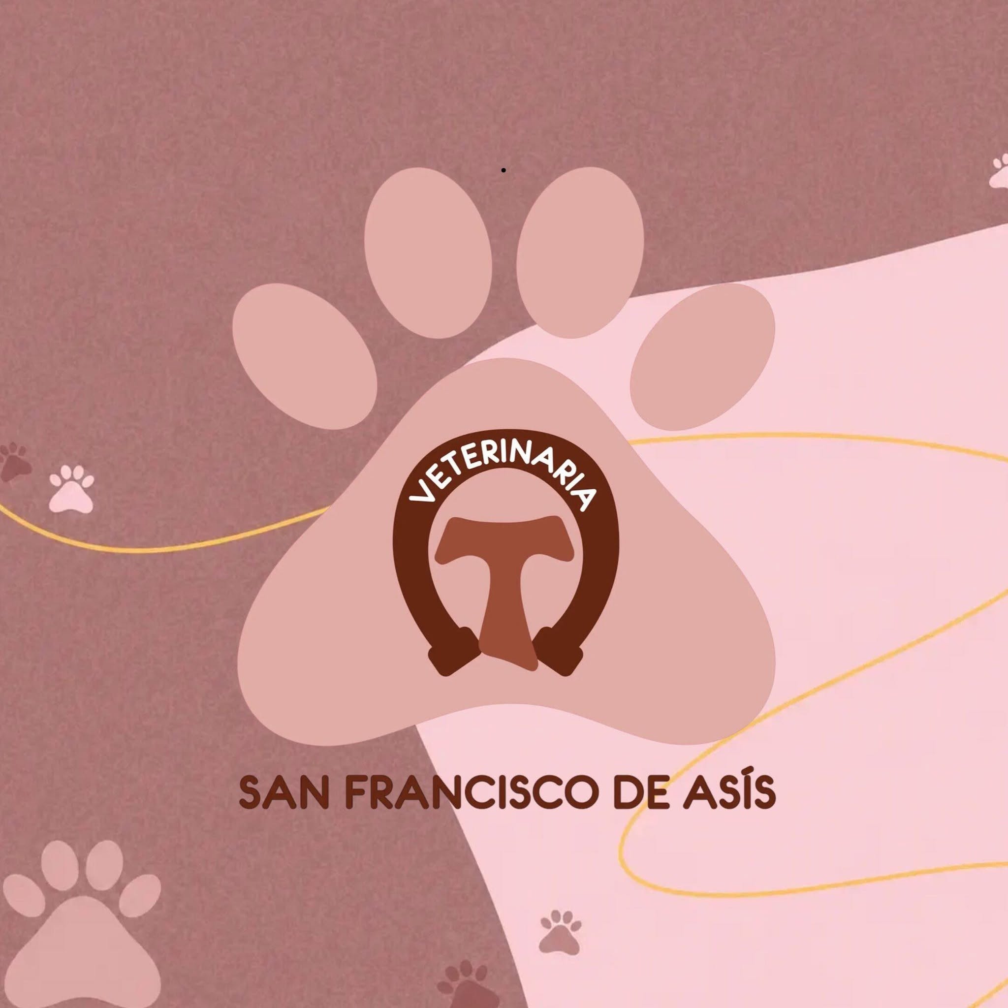 Clinica Veterinaria San Francisco de Asís-Rio Blanco