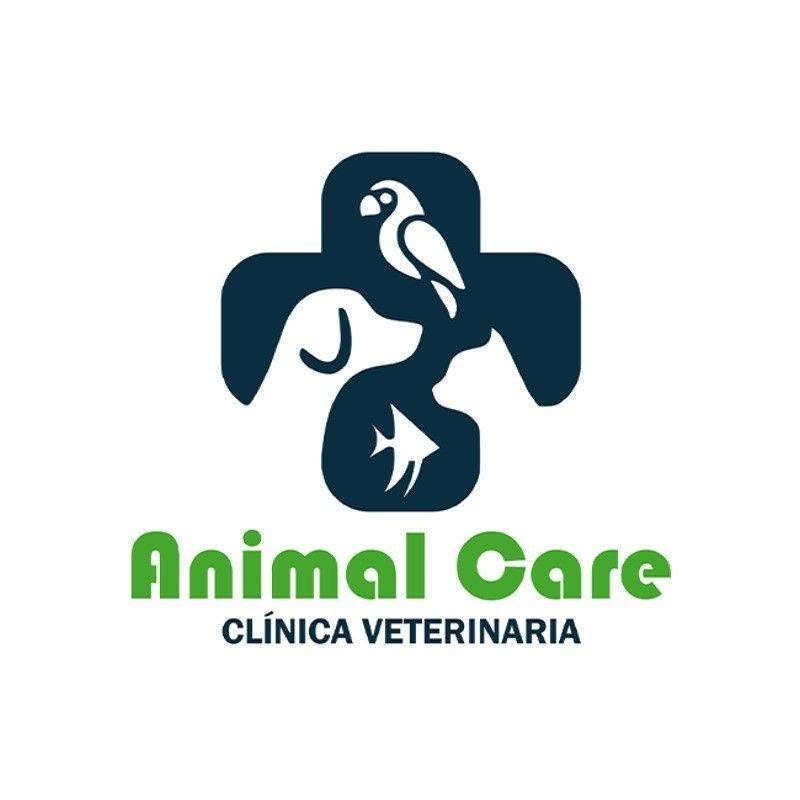 Animal Care Jinotega